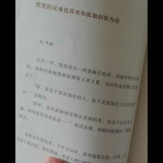 默契的灵魂也喜欢和孤独相依为命