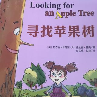 寻找苹果树