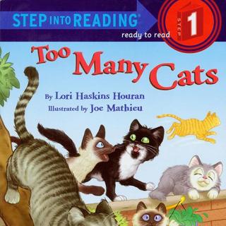 too many cats-the story