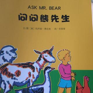 问问熊先生