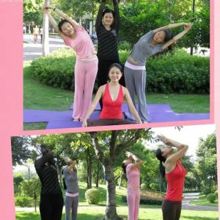 《艾扬格女性瑜伽》－内在纯洁的追求