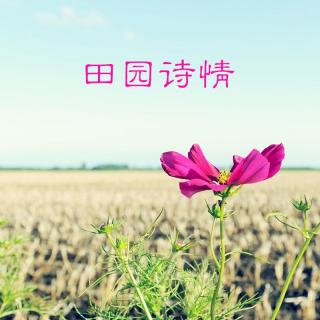 最美的文字VOL48：《田园诗情》-恰佩克