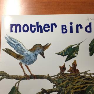 motherbird