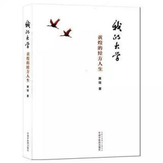 【经方】《我的大学 黄煌的经方人生》后记