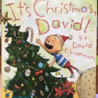 大卫，圣诞节到啦！It's Christmas,David//David Shannon
