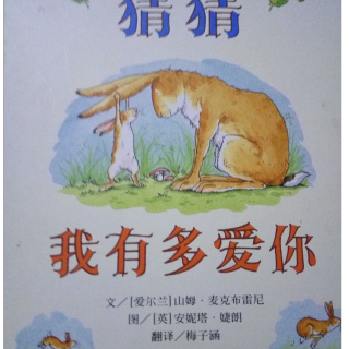 《猜猜我有多爱你》