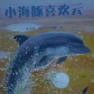 小海豚喜欢云