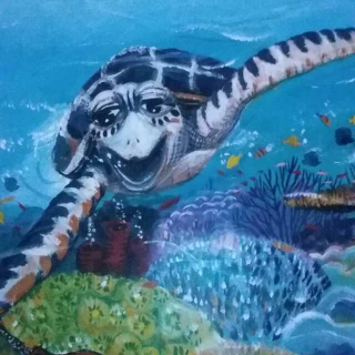小海龟的勇敢旅程