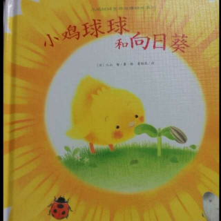 《小鸡球球和向日葵》