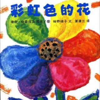 【绘本故事100】--《彩虹色的花》