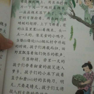 槐乡的孩子