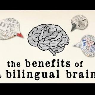 【TED】双语能力对大脑的益处惊人