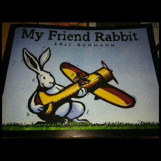 My friend rabbit