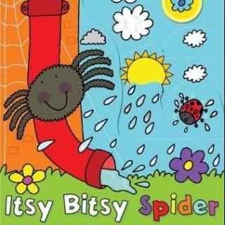 The  Itsy Bitsy Spider