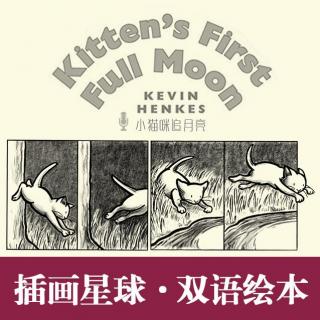 《小猫咪追月亮》Kitten's First Full Moon（插画星球主播：甜瓜）