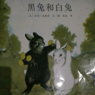 《黑兔和白兔》