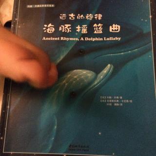 海豚🐬摇篮曲