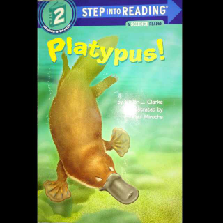 Platypus  2