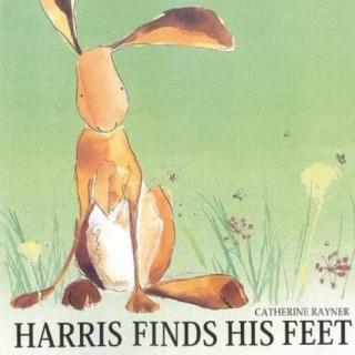 【马修为你讲故事】Harris finds his feet