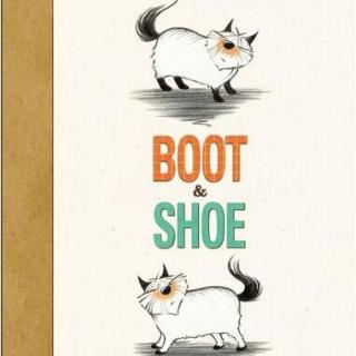 美Li讲故事-137-靴子和鞋子BOOT&SHOE