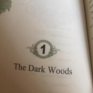 1、The dark woods