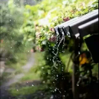 听听那冷雨