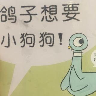 鸽子想要小狗狗