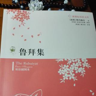 我在南京，最近在读《鲁拜集》（文字&主播：微漾）