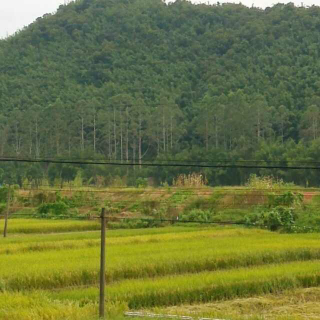 想念夏天乡村的云和风