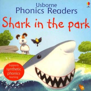 Usborne Phonics Readers -09 Shark in the park