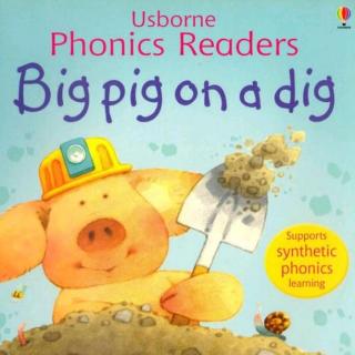 Usborne Phonics Readers -11 Big pig on a dig