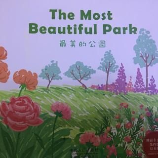 绘本故事：最美的公园