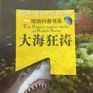 大海狂涛～海洋草原，海底风暴，可以燃烧的海冰