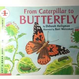 From Caterpillar to Butterfly--1