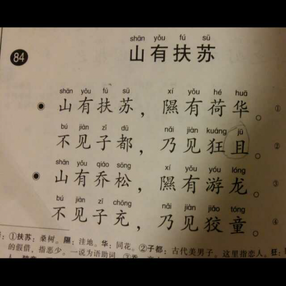 【《山有扶苏》诗经·郑风】在线收听_陈茉读诗_荔枝fm