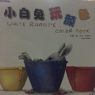 《小白兔玩颜色》
