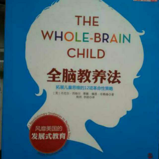 全脑教养法 第5章 让孩子更具有专注力(整合自我)