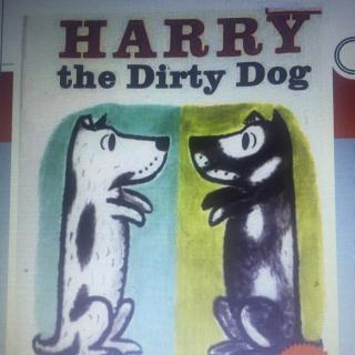 【Hedy读绘本】Harry the Dirty Dog《好脏的哈利》