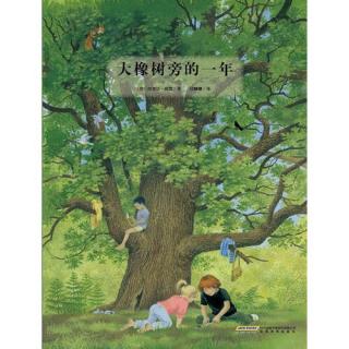 绘本故事-《大橡树旁的一年》