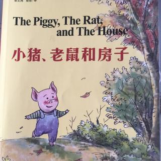 小猪、老鼠和房子