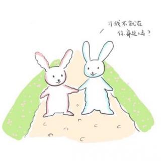 大白兔和小白兔的故事