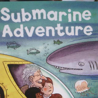 Submarine adventure