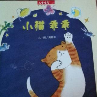 小猫乖乖