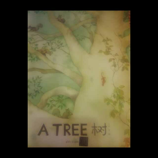 A tree 树