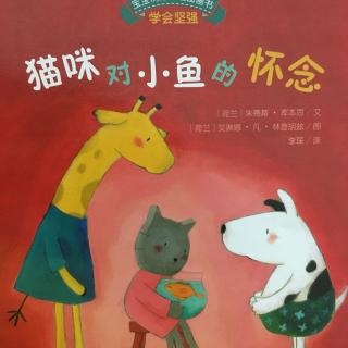 12.猫咪对小鱼的怀念