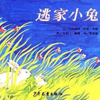  《逃家小兔》+古诗《池上》米粒读绘本NO.173