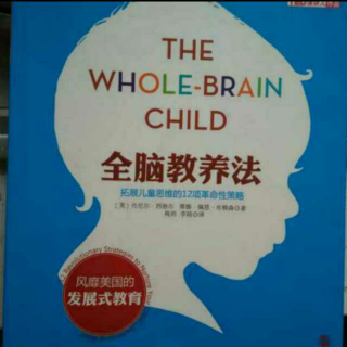 全脑教养法 全脑教养指南(让孩子了解第七感的力量)