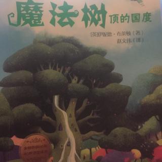 魔法树顶的国度18