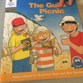 20160722the gulls pinic