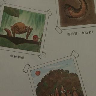 京师幼教幼儿篇《蚯蚓的日记》